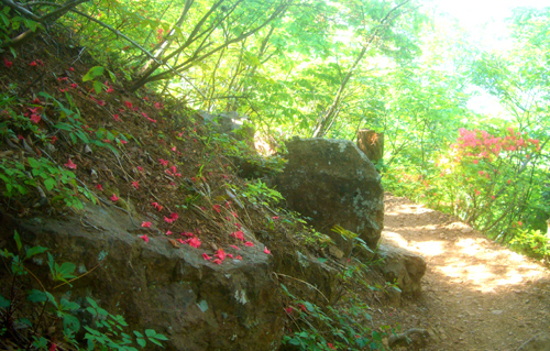b0099994_1825268.jpg