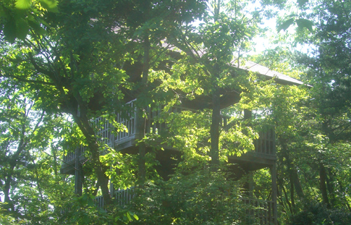 b0099994_183428.jpg