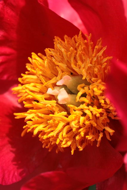 f0083400_23104734.jpg