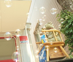 b0168801_7582276.jpg
