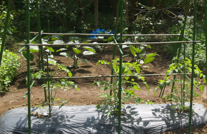 e0089001_23275014.jpg