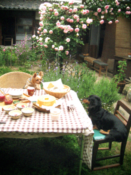 d0077603_68429.jpg