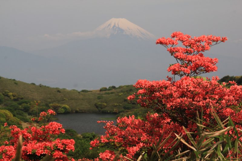 a0188405_9265820.jpg