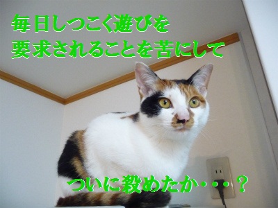 e0072606_14153710.jpg