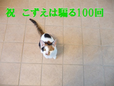 e0072606_1493361.jpg