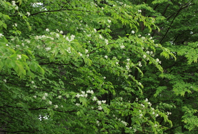 a0251508_23165951.jpg