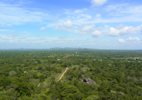 20120525-10.jpg