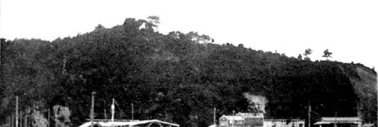 e0125014_108307.jpg