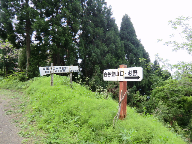d0170615_1141484.jpg
