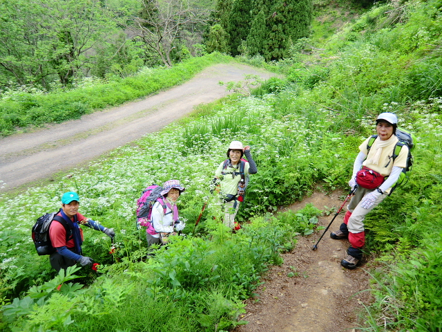 d0170615_1185289.jpg