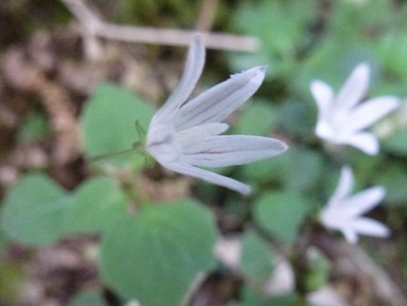 c0042418_8131730.jpg