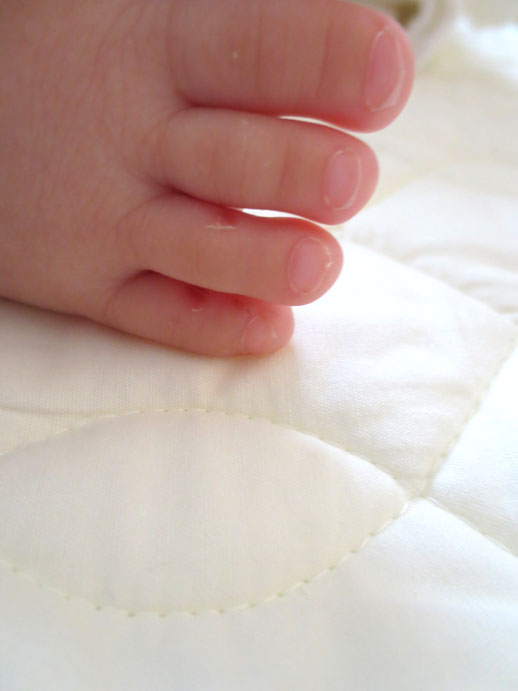 e0016120_1136561.jpg