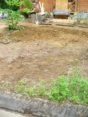 f0188324_20122531.jpg