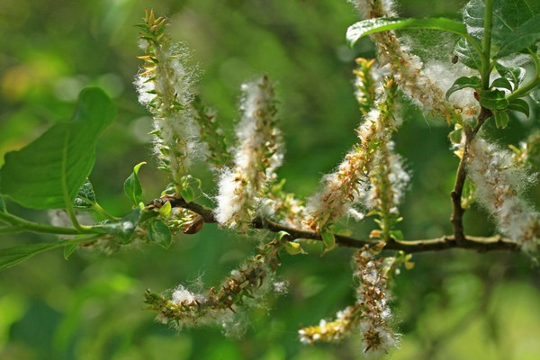 c0104227_1764820.jpg