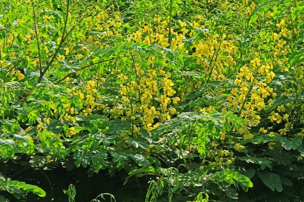 c0104227_18354026.jpg