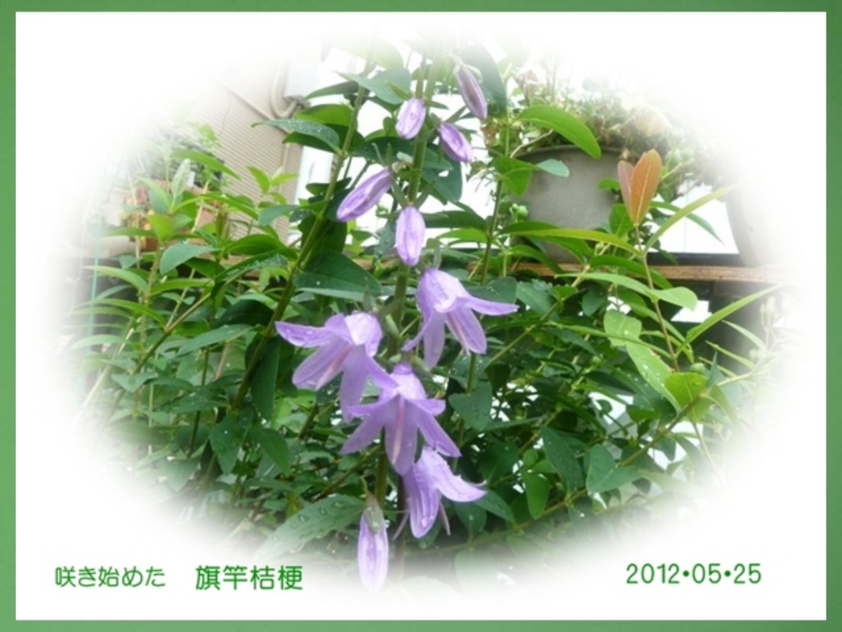 e0033229_21482743.jpg