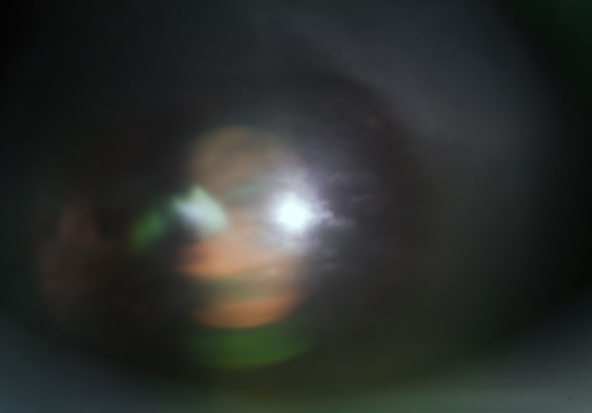 d0147530_6483947.jpg