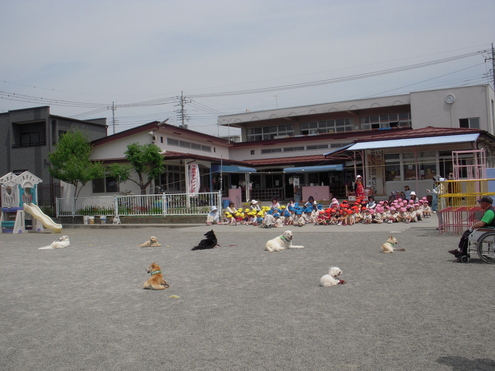 c0114833_10254155.jpg