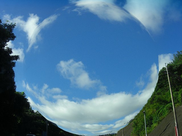b0184636_1425298.jpg
