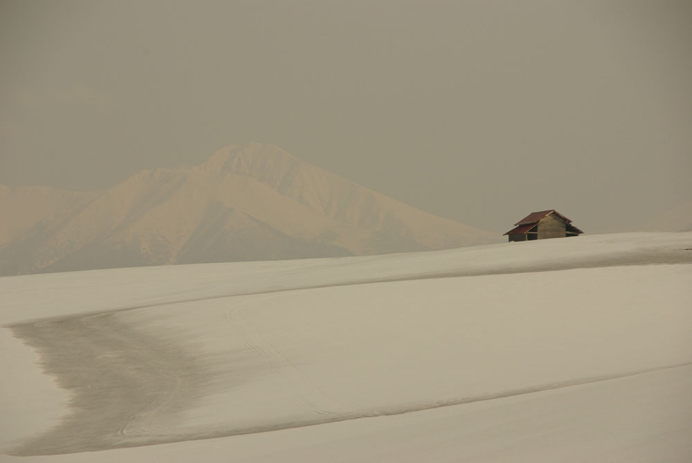 b0247838_22584948.jpg