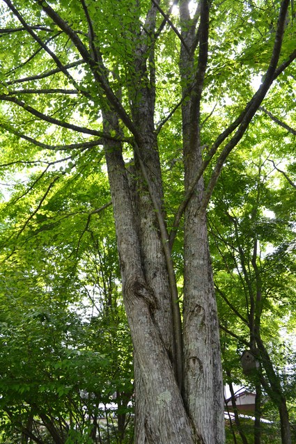 e0228938_1571741.jpg