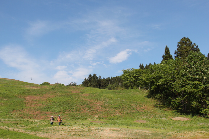 c0153740_14223721.jpg