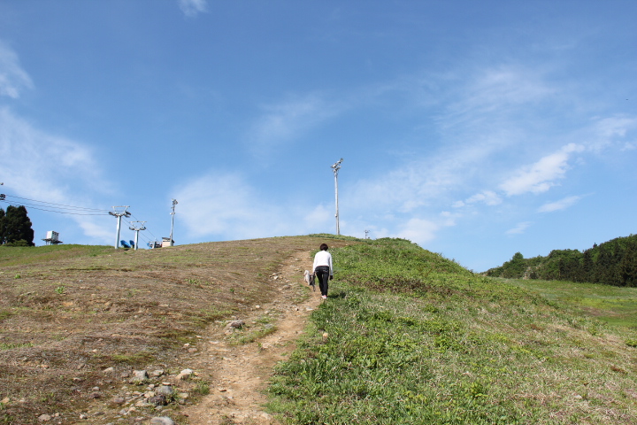 c0153740_1423718.jpg