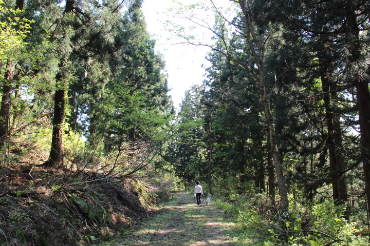 c0153740_1426465.jpg