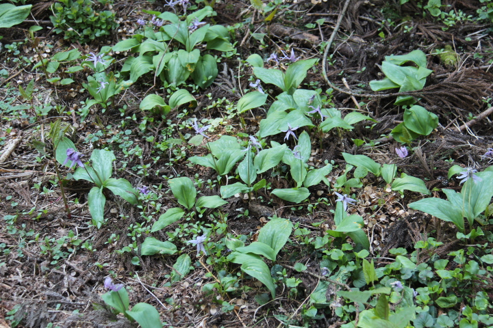 c0153740_1426546.jpg