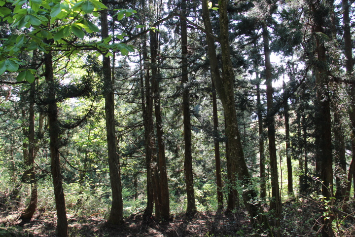 c0153740_14272016.jpg