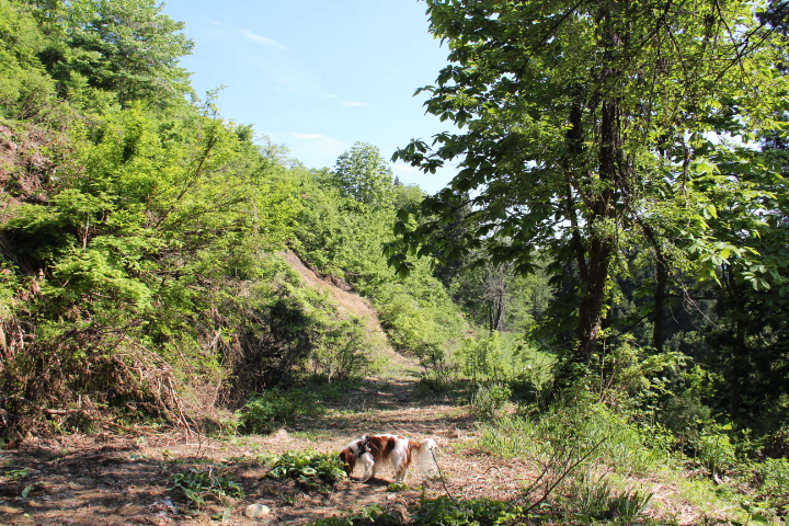 c0153740_14283851.jpg