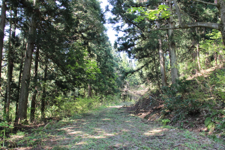 c0153740_1430378.jpg