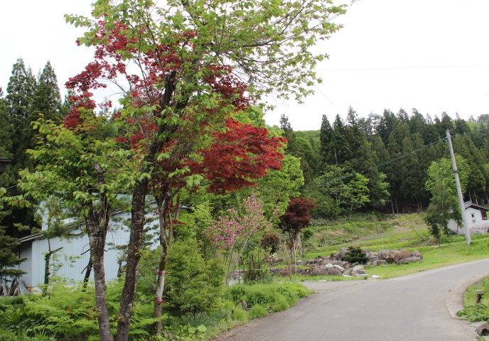 c0153740_14323951.jpg