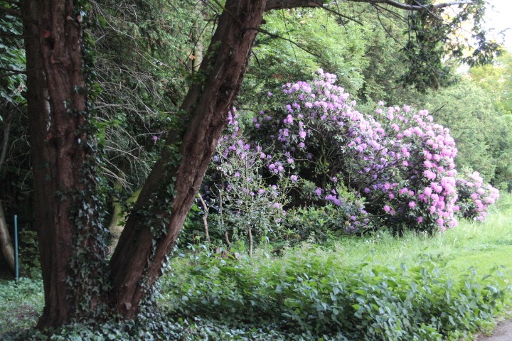 c0153740_2128370.jpg