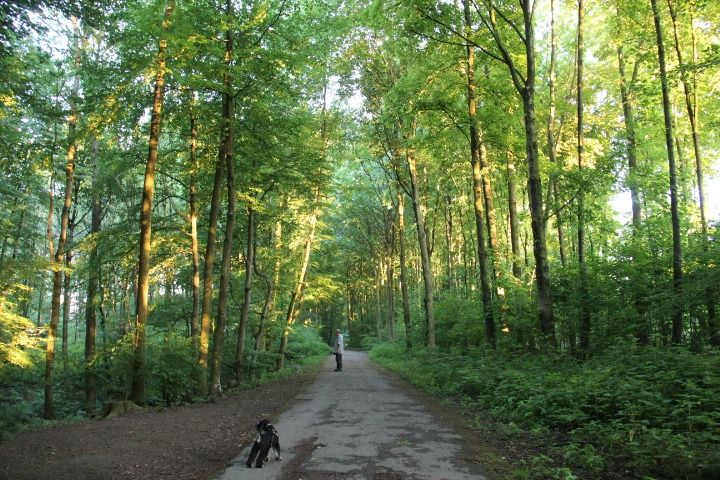 c0153740_21331748.jpg