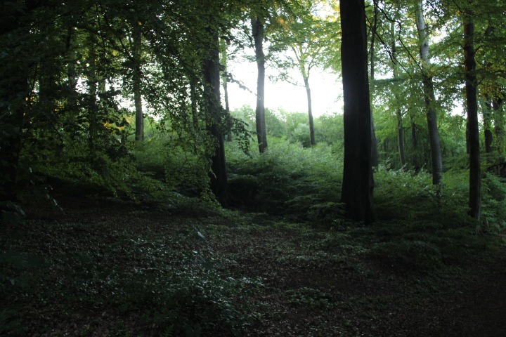 c0153740_2134684.jpg