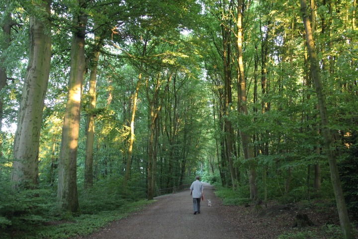 c0153740_2134752.jpg