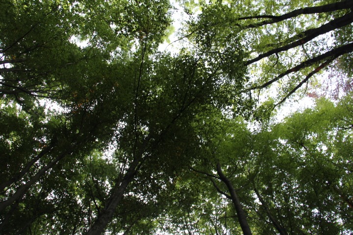 c0153740_21392950.jpg