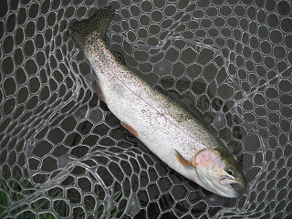 f0065341_12402462.jpg