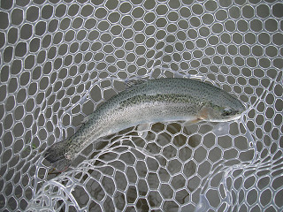 f0065341_12411564.jpg
