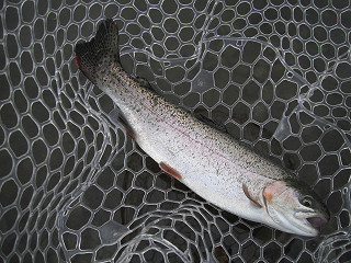 f0065341_12425222.jpg