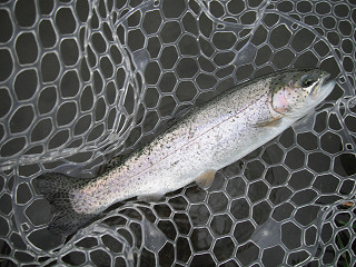 f0065341_12432226.jpg