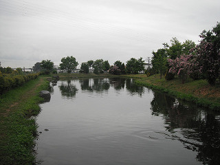 f0065341_12434090.jpg