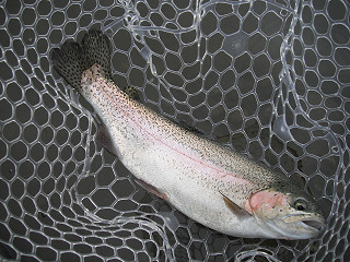 f0065341_12445064.jpg