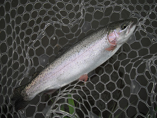 f0065341_1244895.jpg