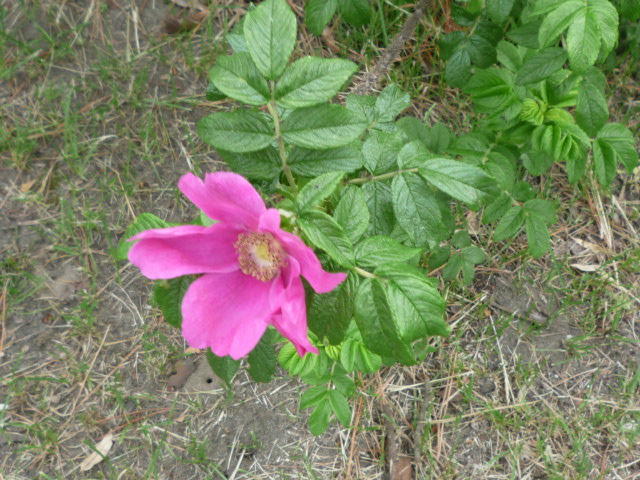 b0238249_19323835.jpg