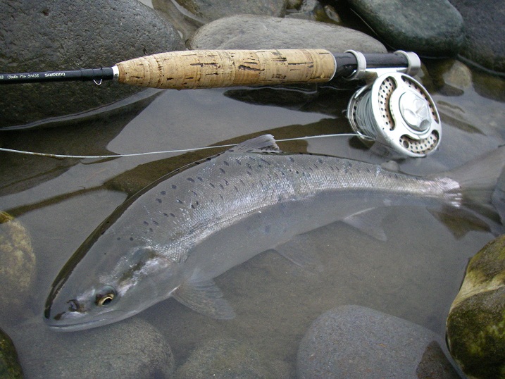 f0212059_5433677.jpg