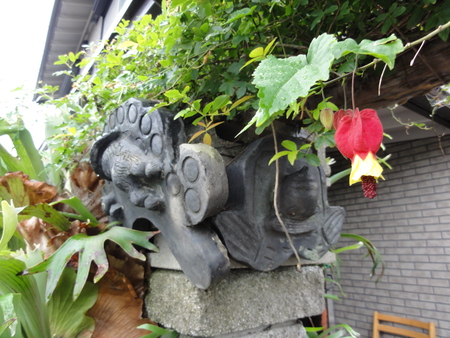 c0108460_1748773.jpg