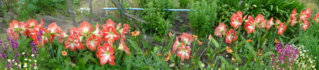 c0108460_17524983.jpg