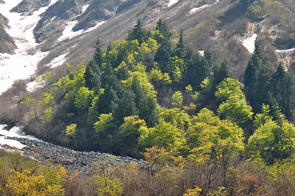 c0043361_0421773.jpg